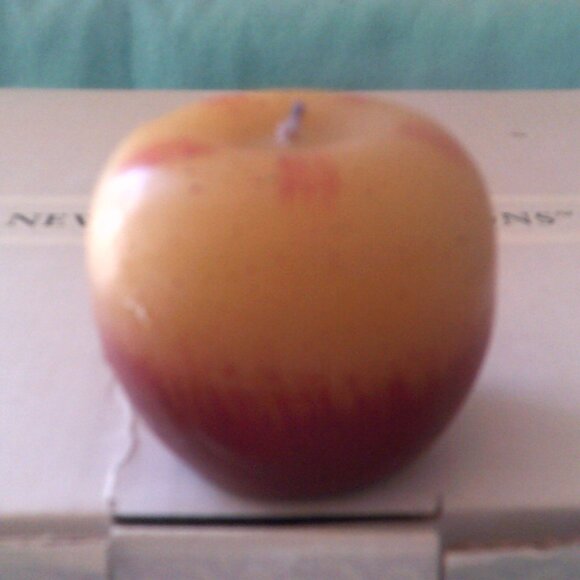 NEWBury COLLECTIONS "Bobbing for Apples" Candles in a Bucket Galvanized Steel - Picture 5 of 6
